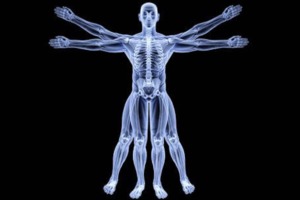 Anatomy of a Sales Manager - Blog Image for Shade's Mills Group